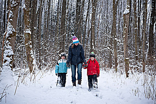 家庭,雪,树林