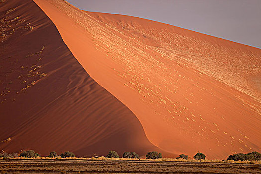 沙丘,索苏维来地区,纳米比诺克陆夫国家公园,骷髅海岸,国家公园,区域,纳米比亚,非洲