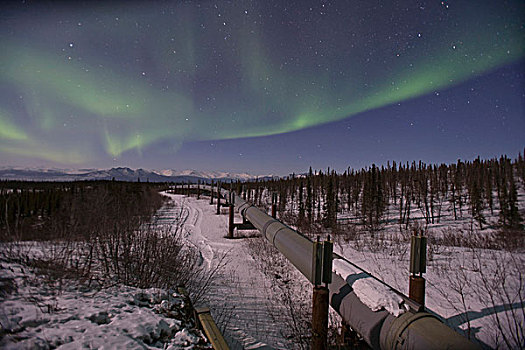 帘,绿色,北极光,填加,天空,上方,阿拉斯加输油管,山麓,南方,布鲁克斯山,2007年