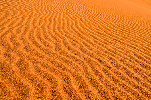 红色,沙丘,卡拉哈迪大羚羊国家公园,卡拉哈里沙漠,北开普,南非,非洲