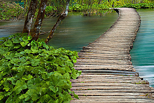 木板路,十六湖国家公园,克罗地亚,欧洲