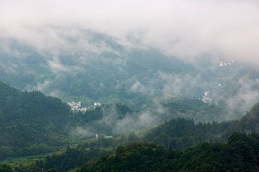 云雾坡山