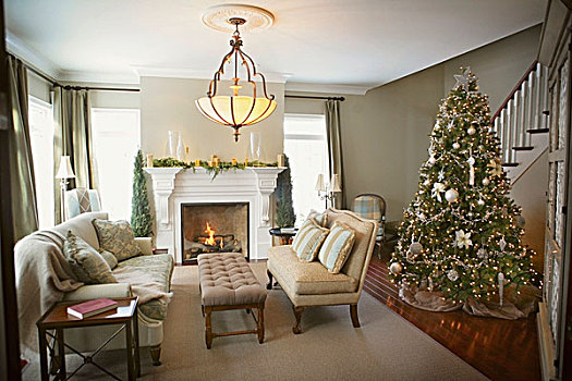 客厅,圣诞树