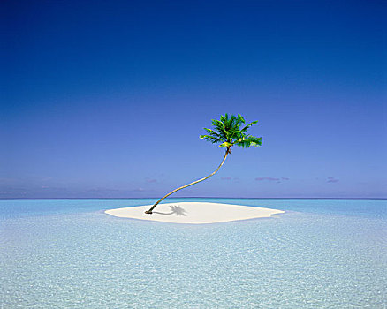 热带海岛,海滩风景,棕榈树,马尔代夫,印度洋