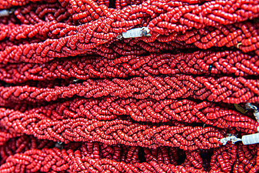 珊瑚,项链,突尼斯,北非