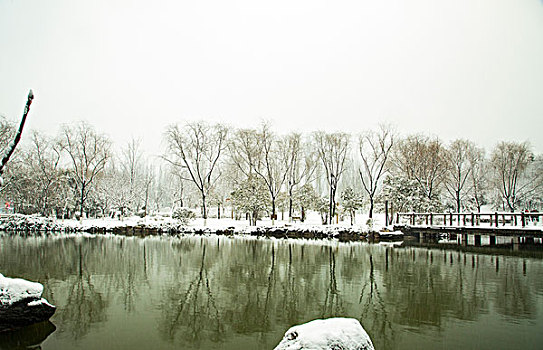 雪景