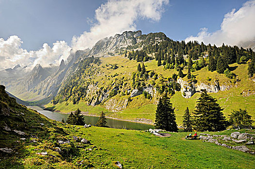 风景,湖,山,阿彭策尔,瑞士,欧洲