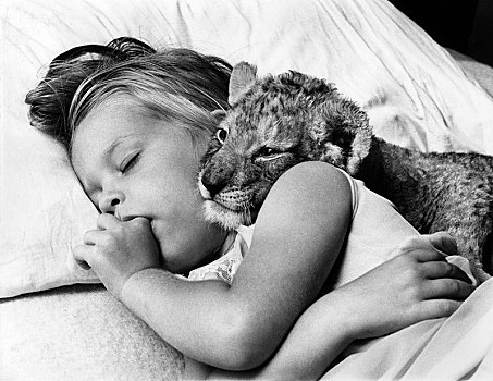 小女孩,搂抱,床上,幼狮,睡觉,英格兰,英国