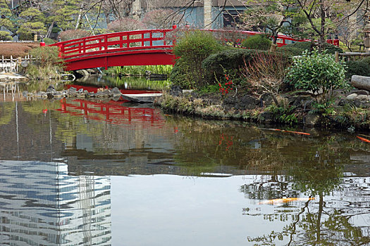 红色,桥,日式庭园