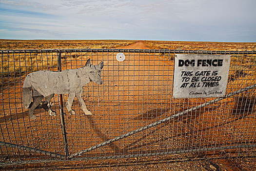 大门,澳洲野狗,栅栏,南澳大利亚州,澳大利亚
