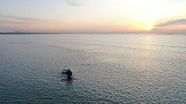 航拍渔民在金色海洋里捞小虾,成了一道靓丽风景线