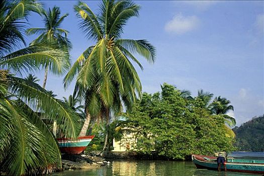 巴拿马,加勒比海,海岸,大,海边,风景,小船,小,房子,棕榈树