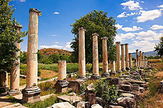 柱子,罗马,南,阿哥拉,阿芙洛蒂西亚斯,遗迹,省,土耳其,亚洲