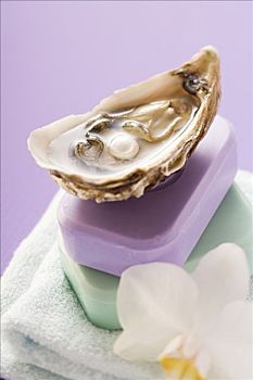 牡蛎,珍珠,两个,肥皂块,毛巾,兰花