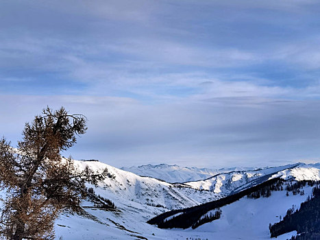 新疆阿勒泰喀纳斯的冬