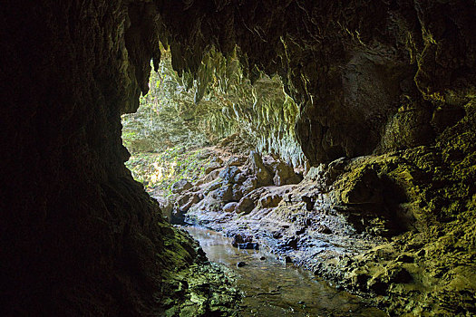 洞穴,岛屿,冲绳,日本