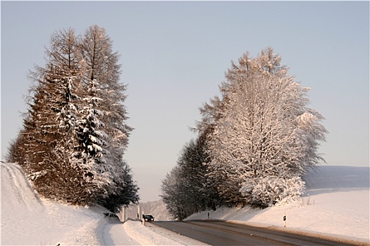 路,雪