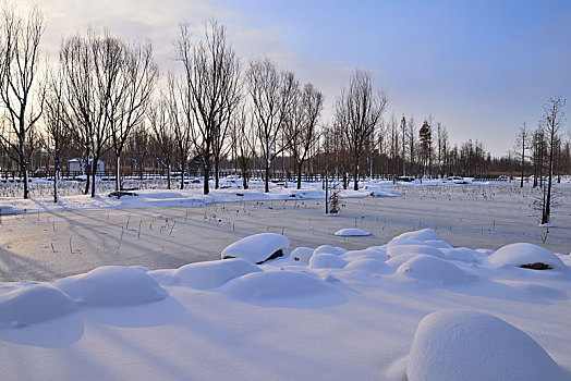 雪景