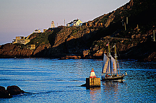 纵帆船,通过,港口,纽芬兰,加拿大