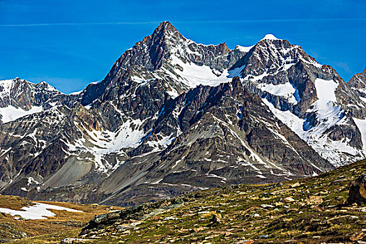 高沼地,下方,阿尔卑斯山,策马特峰,瑞士