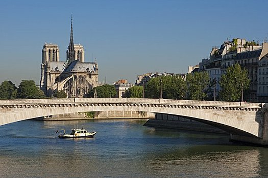 圣母大教堂,桥,上方,赛纳河,河,巴黎,法国