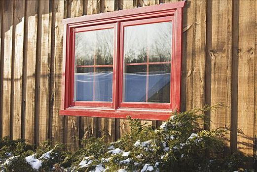 小屋,窗户,冬天,靠近,安大略省,加拿大