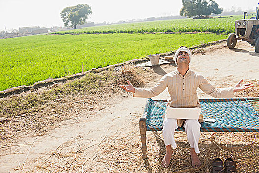 农民,伸展胳膊,土地,印度