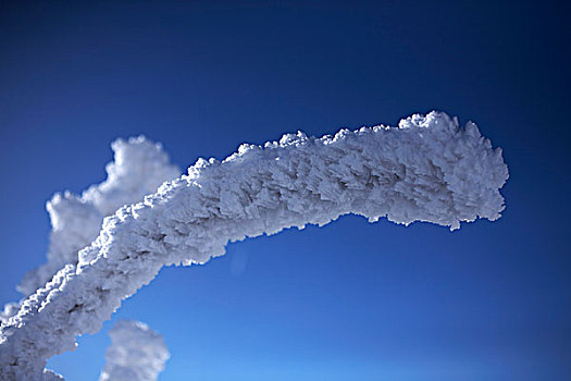 雪,冰,枝条,冬天,黑森林,巴登符腾堡,德国,欧洲