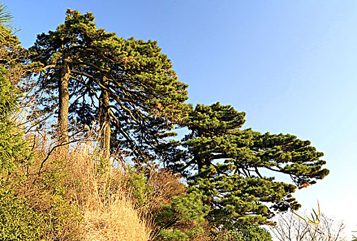 湖南,衡阳,衡山