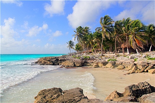 加勒比,墨西哥,热带,青绿色,海滩