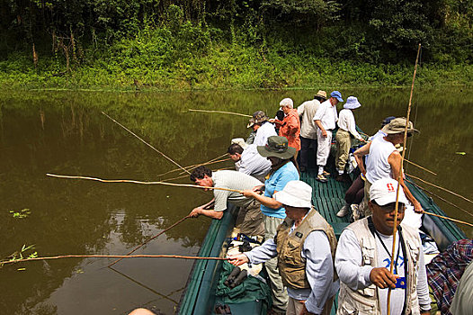 秘鲁,亚马逊盆地,河,国家级保护区,小河,雨林,游客,船,捕鱼,水虎鱼
