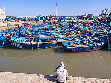 老,蓝色,渔船,港口,苏维拉,世界遗产,摩洛哥,非洲