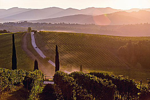 葡萄酒,风景,托斯卡纳,意大利