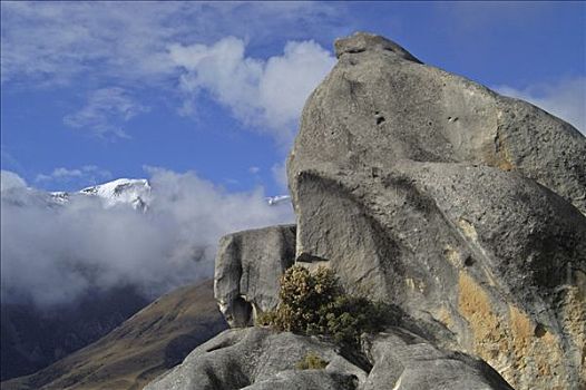 砂岩,顶端,山峦,东方,国家公园,新西兰