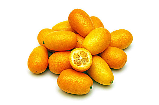 金橘,金桔属