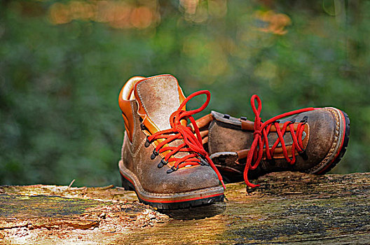 远足,鞋,树林