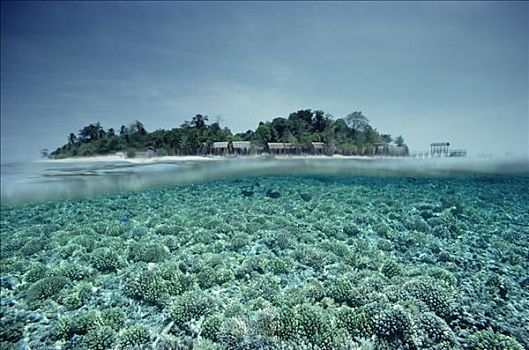西巴丹岛,岛屿,海洋,围绕,珊瑚礁,婆罗洲