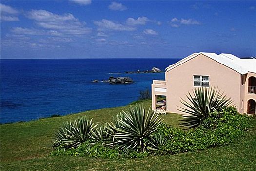 侧面,粉色,建筑,面对,海洋,德文郡,北岸,百慕大