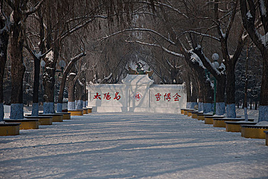 哈尔滨太阳岛上雪博会