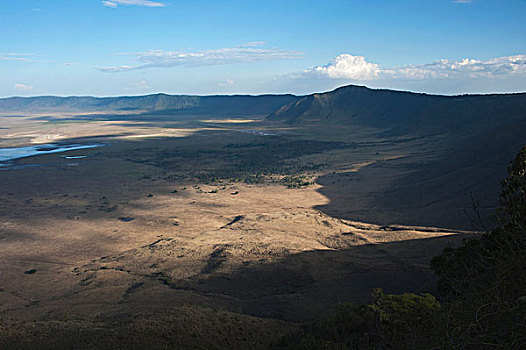 火山口,地面,恩戈罗恩戈罗火山口,恩戈罗恩戈罗,保护区,坦桑尼亚