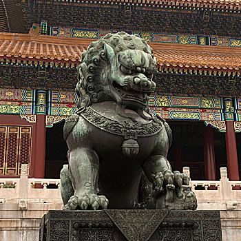 狮子,雕塑,正面,建筑,彩色,华丽,故宫,北京,中国