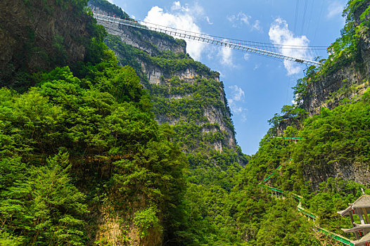 湖北宜昌三峡竹海夏日风光