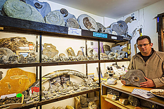 英格兰,多西特,侏罗纪海岸,化石,店,室内