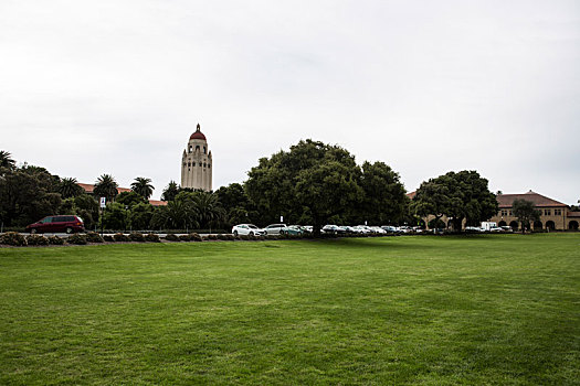 斯坦福大学