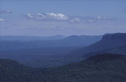 蓝色,水汽,橡胶树,气,风景,蓝山,新南威尔士,澳大利亚