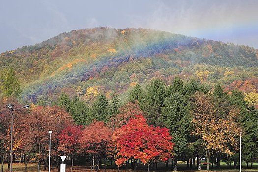 秋叶,彩虹,公园