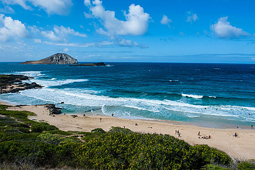 海滩,岛屿,瓦胡岛,夏威夷,美国,北美