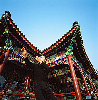 中国,北京,颐和园,男人,太极拳