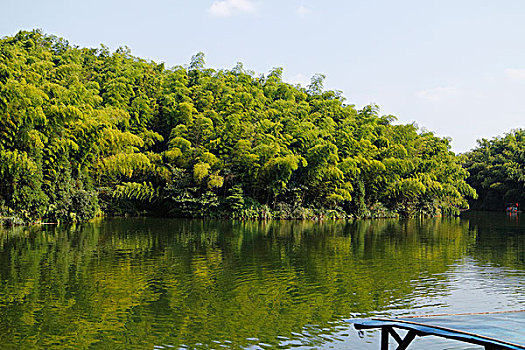 竹林竹海竹子和干净的湖,漂亮的风景