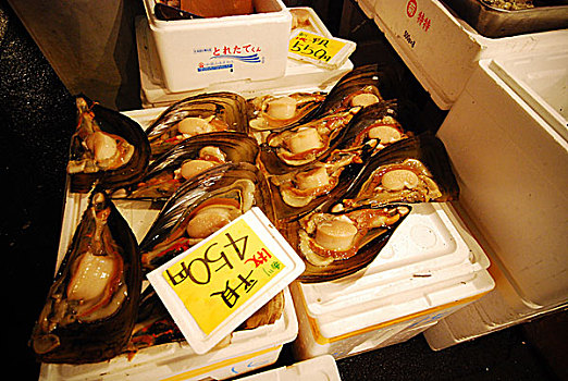 巨蛤,展示,筑地,鱼市,一个,最大,批发,鱼肉,海鲜,市场,世界,东京,日本,二月,2008年